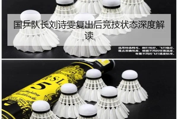 国乒队长刘诗雯复出后竞技状态深度解读（MileSports）